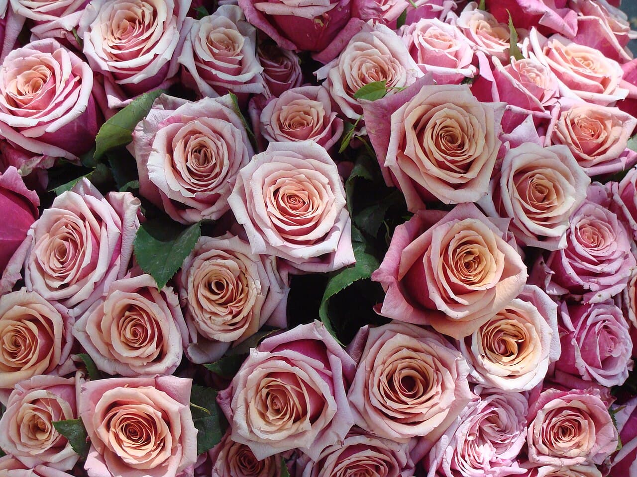 Ramo de flores frescas de La Florería